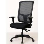 Cadeira de Escritório Tela PRYUS Back System – Cor Preto – 20099 Master Móveis para Escritório Cadeira de Tela 12